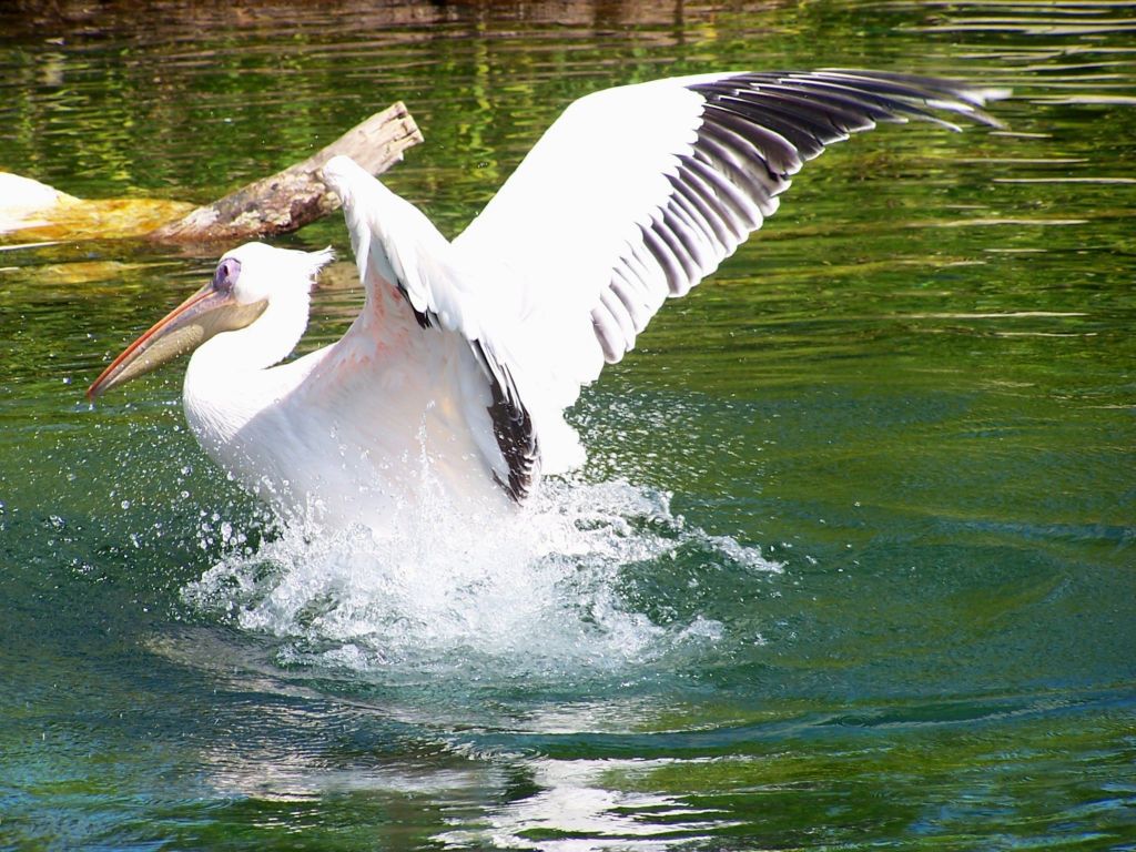 Foto de Benavídez, Buenos Aires, Argentina
