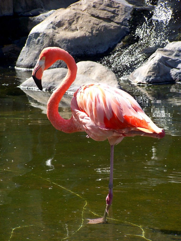 Foto de Benavídez, Buenos Aires, Argentina