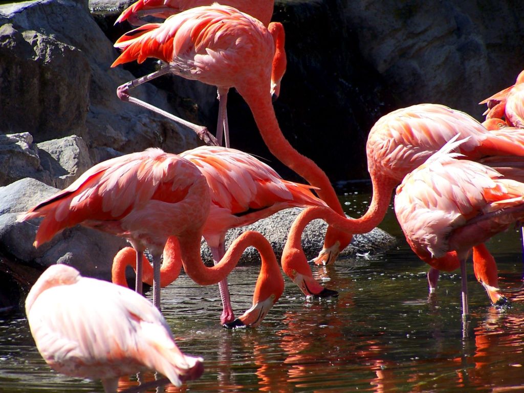 Foto de Benavídez, Buenos Aires, Argentina