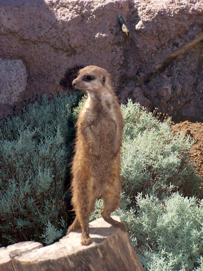 Foto de Benavídez, Buenos Aires, Argentina
