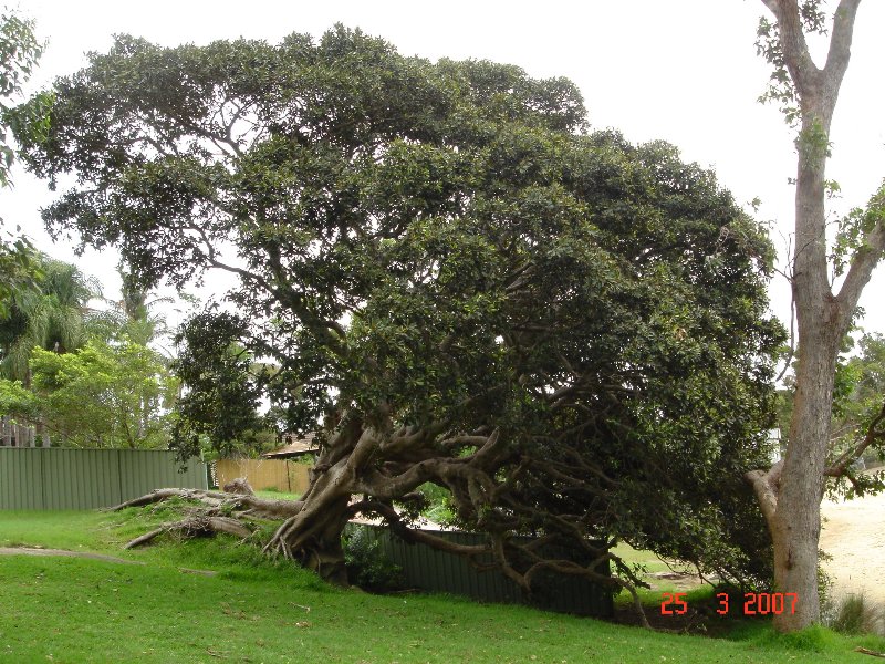 Foto de Sydney, Australia