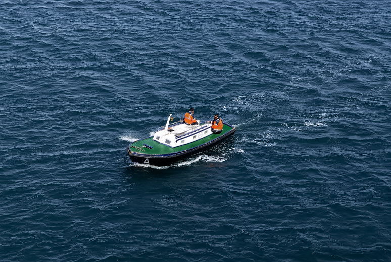 Foto de Palma de Mallorca (Illes Balears), España
