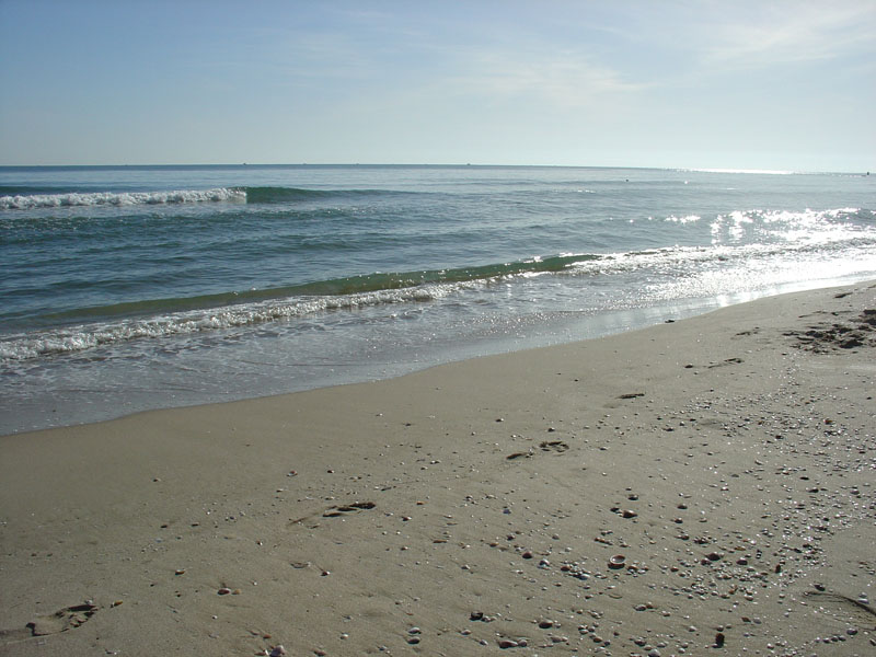 Foto de Sueca (València), España