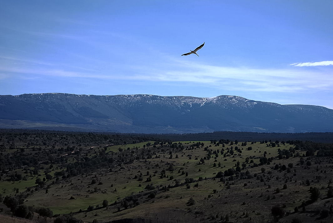 Foto de Pedraza (Segovia), España