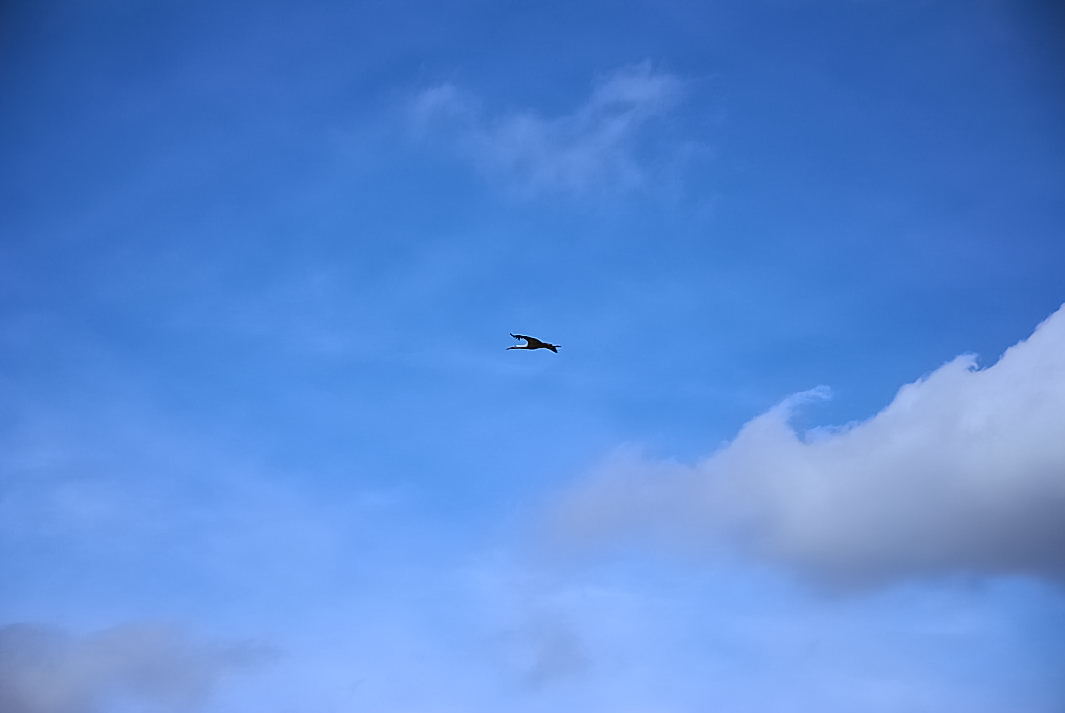 Foto de Pedraza (Segovia), España