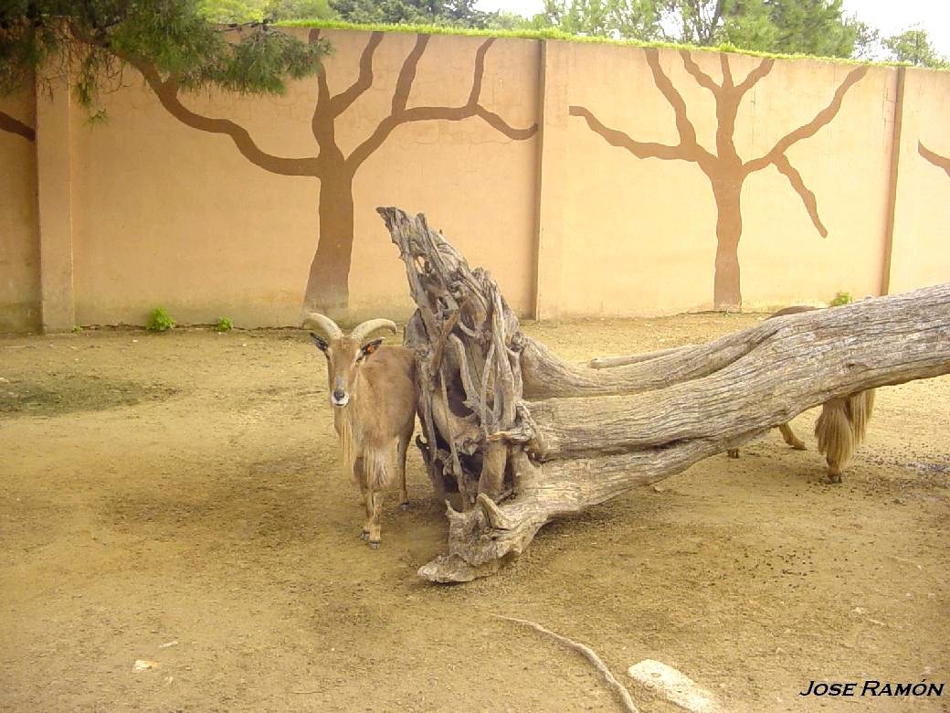 Foto de Jerez de la Frontera (Cádiz), España
