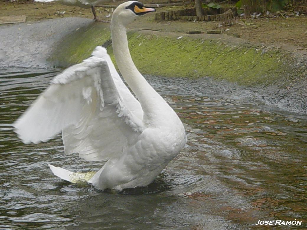 Foto de Jerez de la Frontera (Cádiz), España