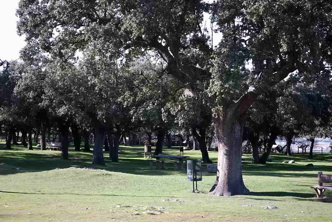 Foto de Palacio de Riofrio (Segovia), España