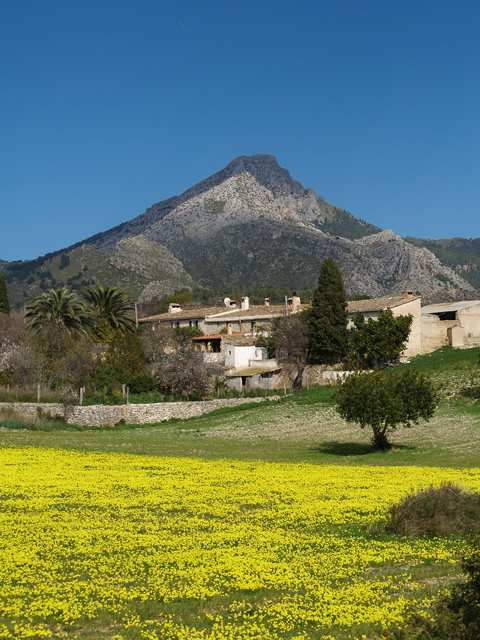 Foto de Capdellà (Illes Balears), España