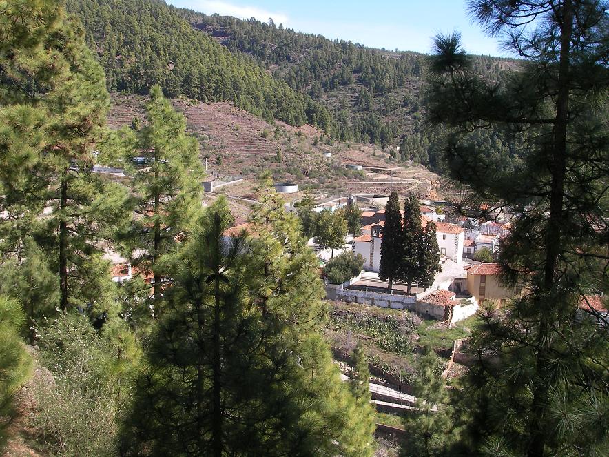 Foto de Vilaflor (Santa Cruz de Tenerife), España