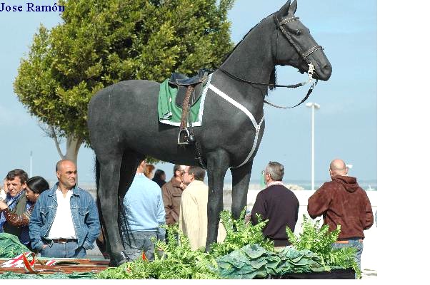 Foto de Chipiona (Cádiz), España
