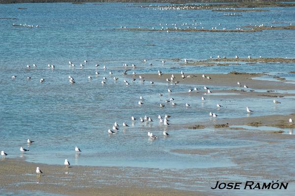 Foto de San Fernando (Cádiz), España
