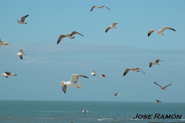 Foto de San Fernando (Cádiz), España
