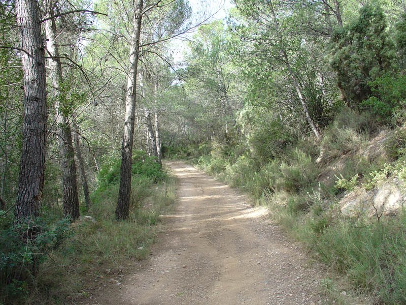 Foto de El Tormo (Castelló), España