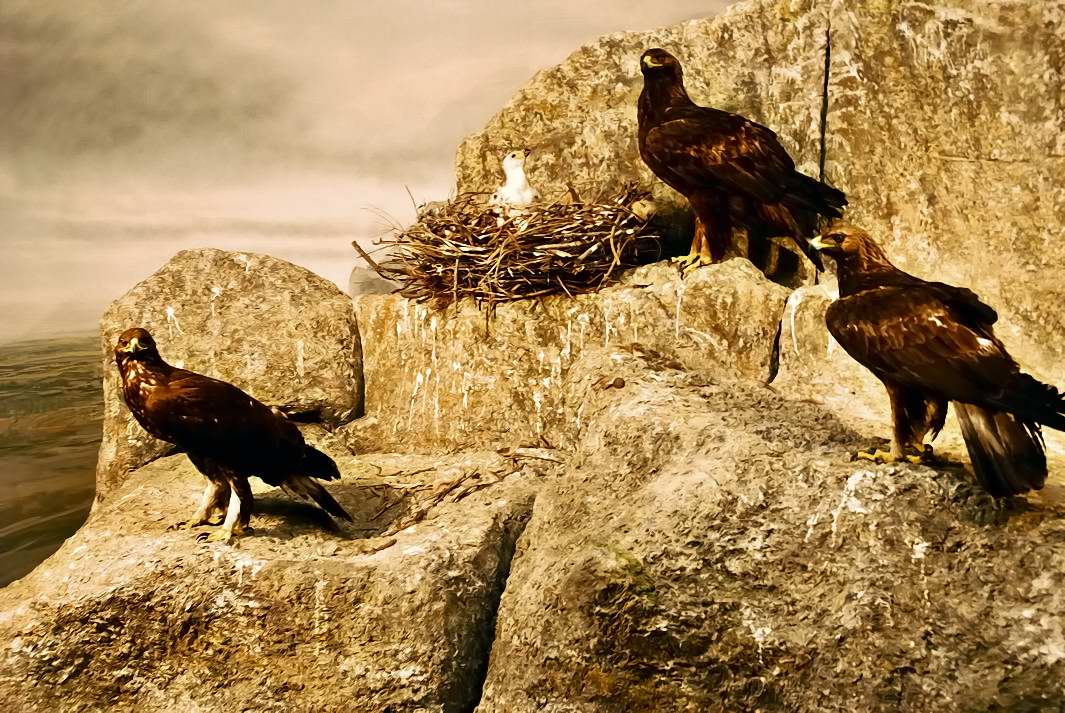 Foto de Palacio de Riofrio (Segovia), España