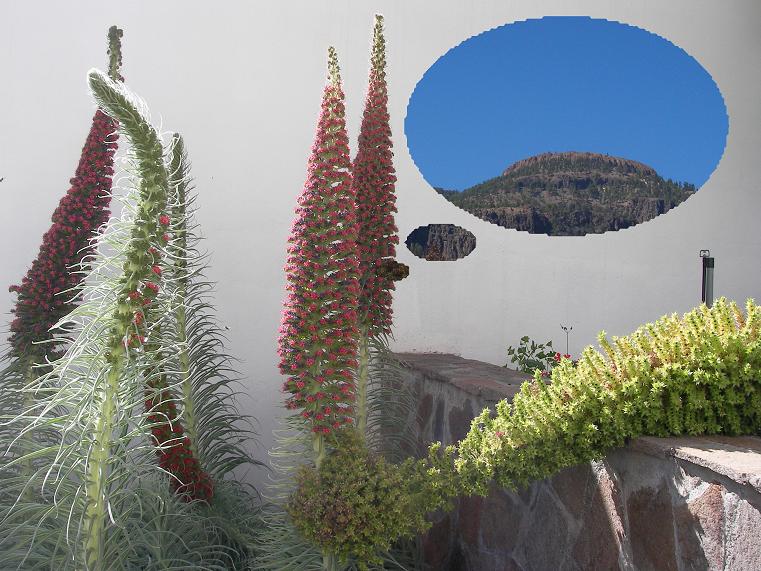 Foto de Vilaflor (Santa Cruz de Tenerife), España