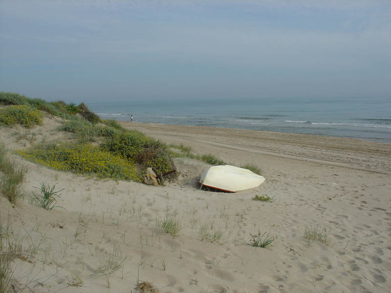 Foto de Sueca (València), España