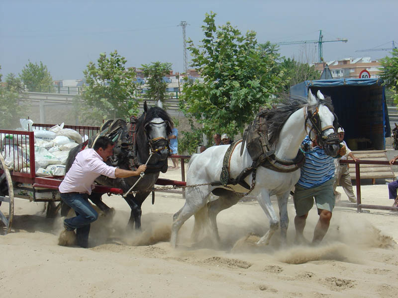Foto de Massanassa (València), España
