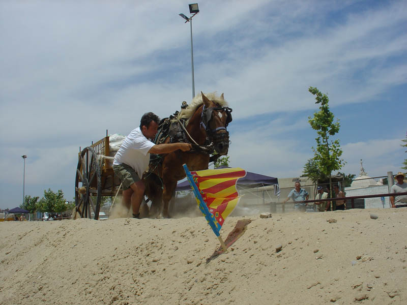 Foto de Massanassa (València), España