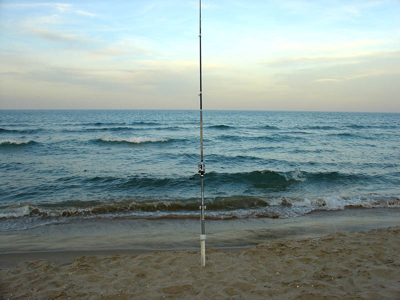 Foto de Valencia (València), España