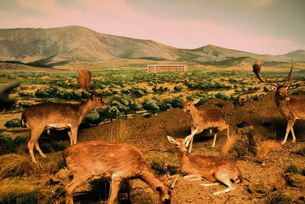 Foto de Palacio de Riofrio (Segovia), España