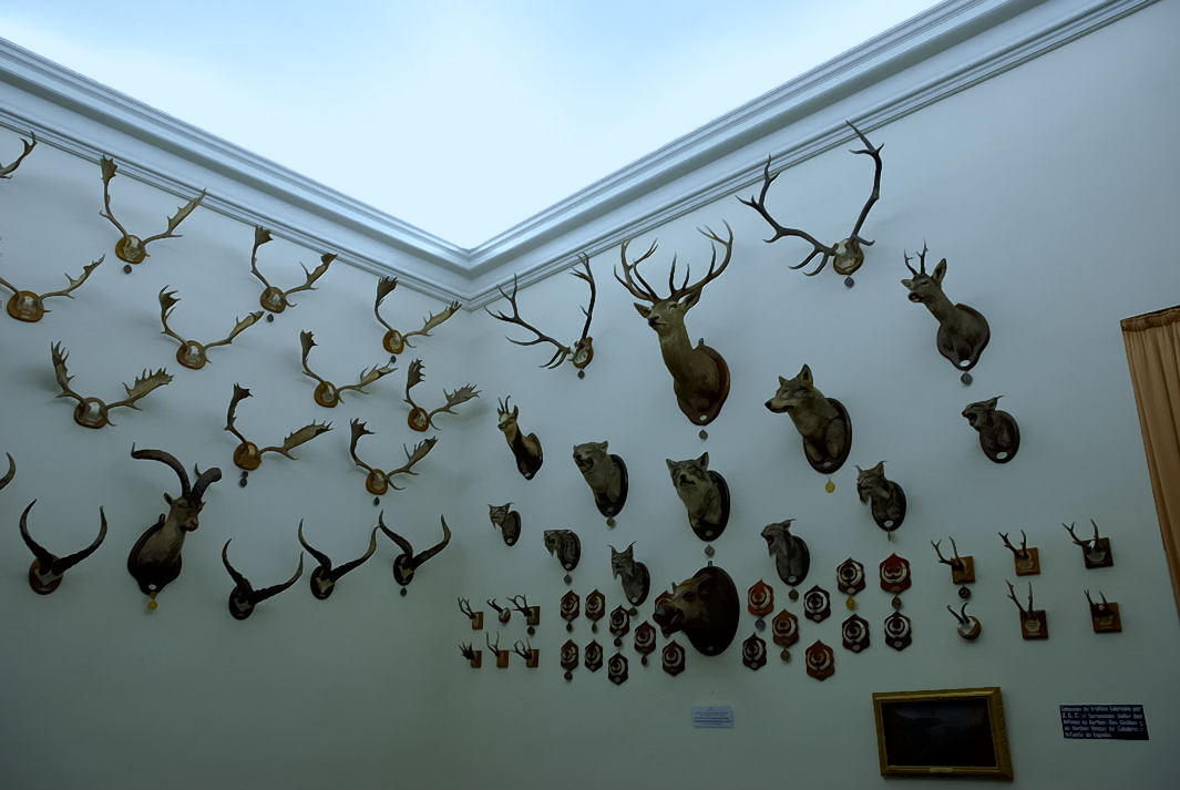 Foto de Palacio de Riofrio (Segovia), España