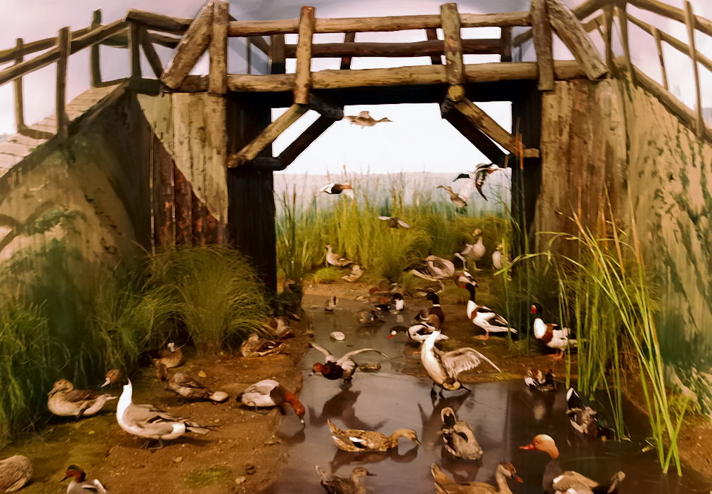 Foto de Palacio de Riofrio (Segovia), España