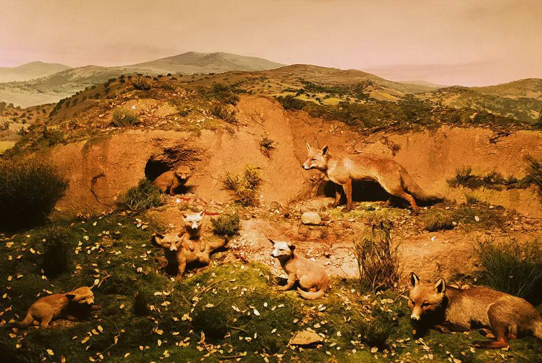 Foto de Palacio de Riofrio (Segovia), España