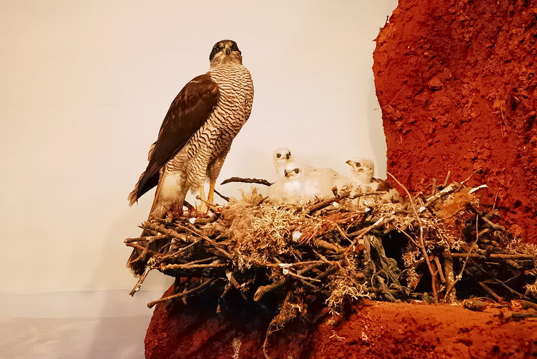 Foto de Palacio de Riofrio (Segovia), España