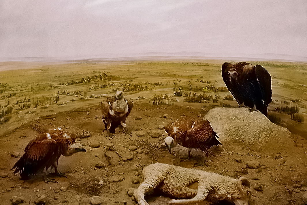 Foto de Palacio de Riofrio (Segovia), España