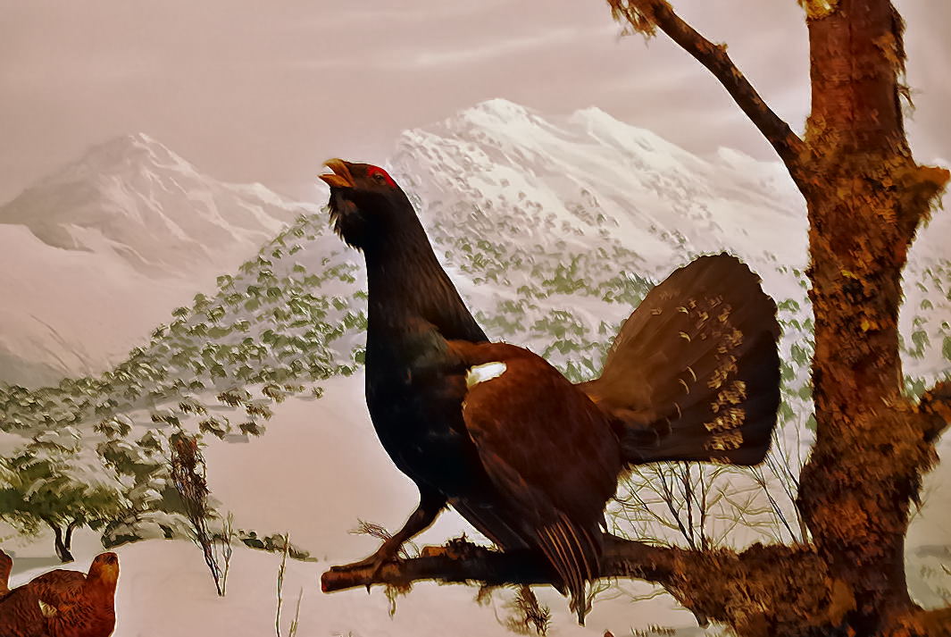 Foto de Palacio de Riofrio (Segovia), España