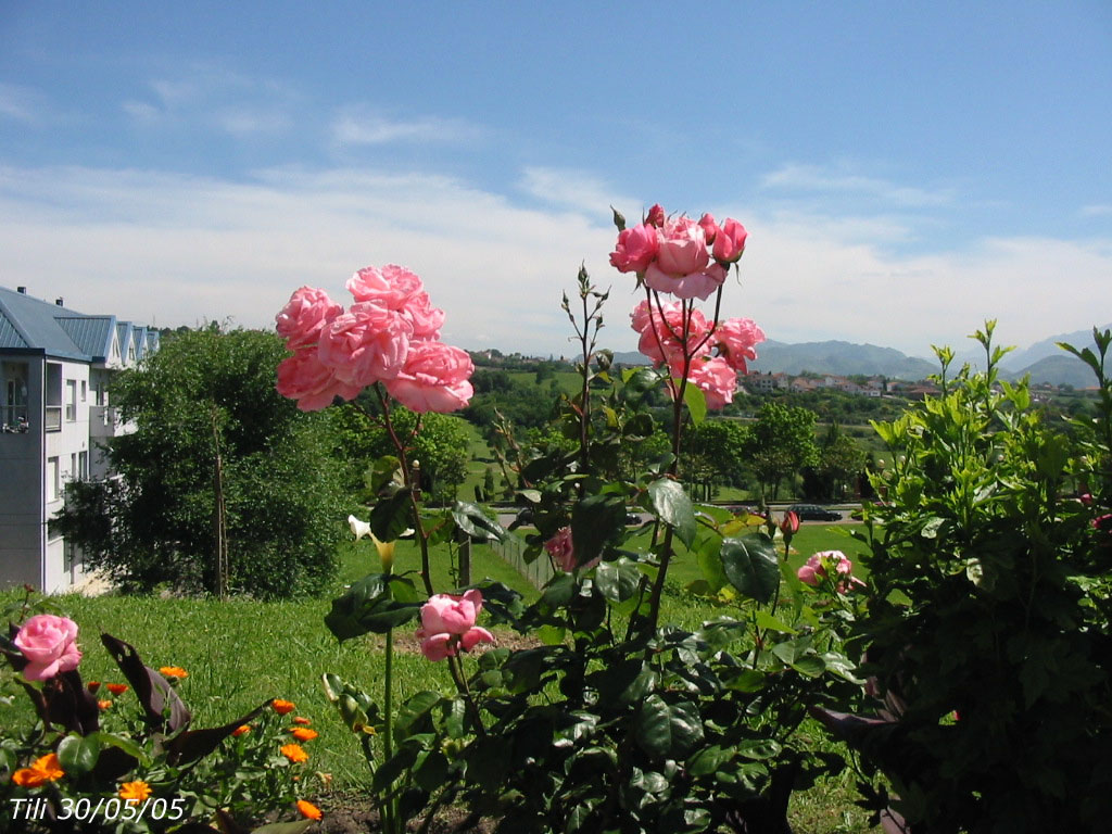 Foto de Oviedo (Asturias), España