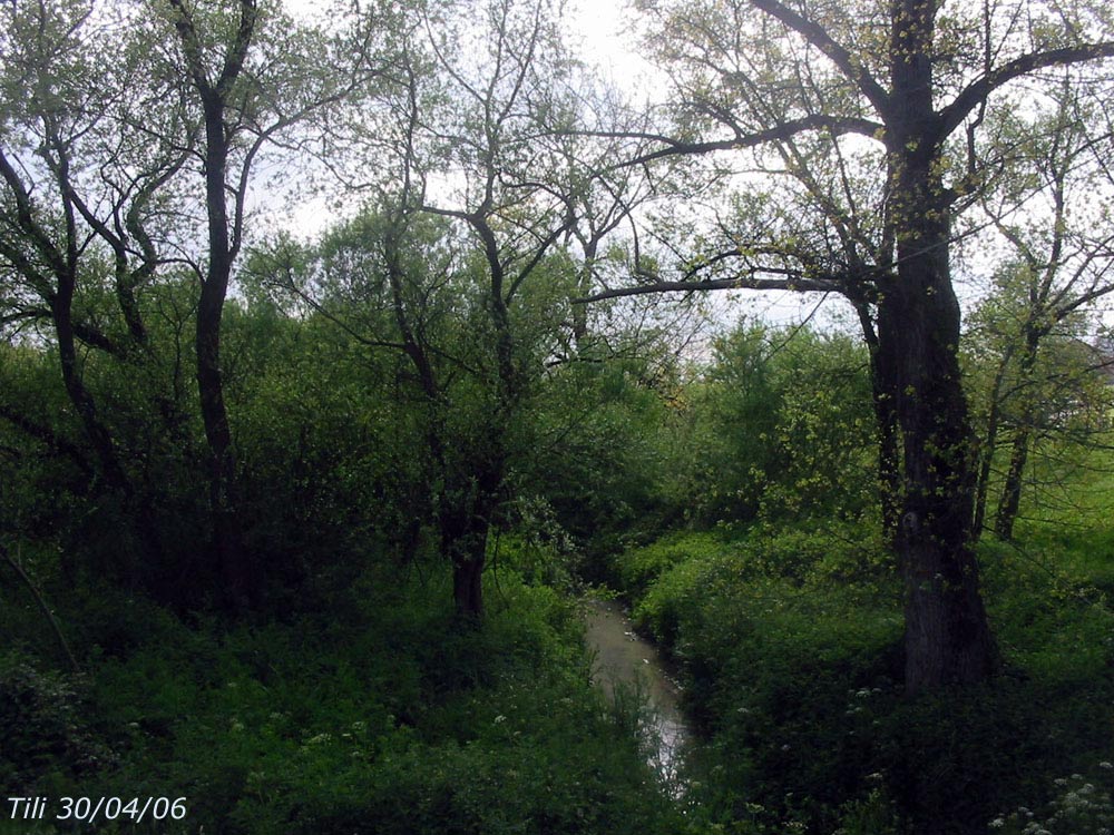 Foto de Oviedo (Asturias), España