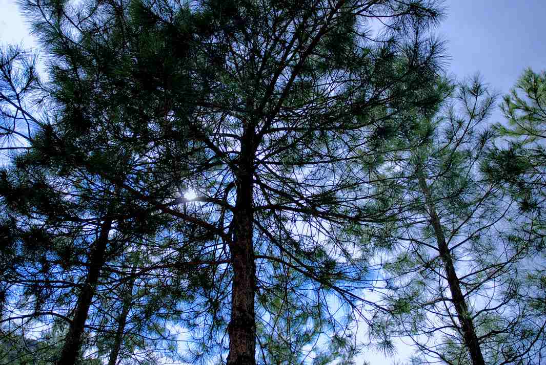 Foto de Cuenca (Castilla La Mancha), España