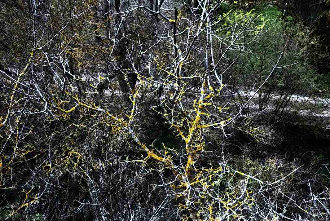 Foto de Cuenca (Castilla La Mancha), España