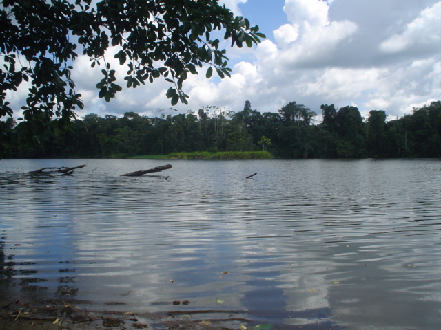 Foto de Nueva Loja, Ecuador
