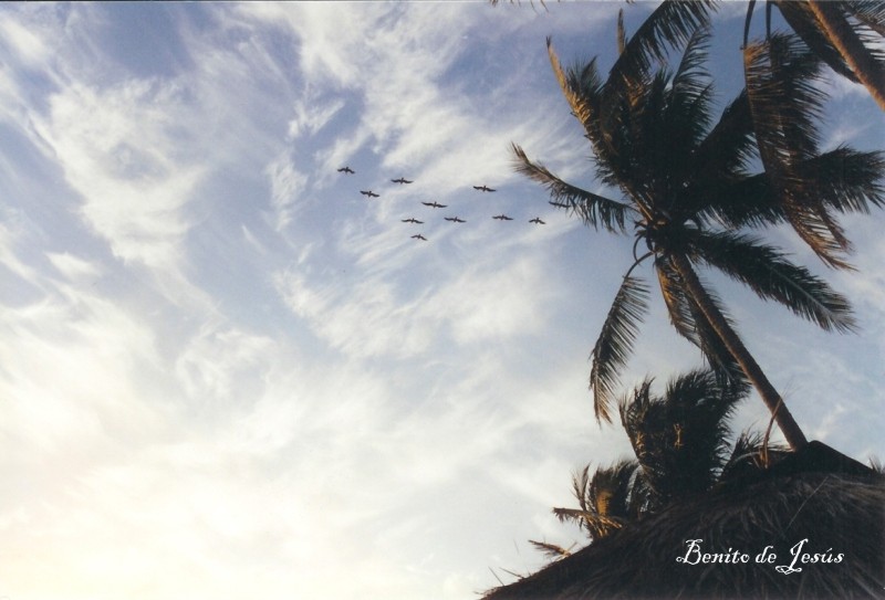 Foto de Jalisco, México