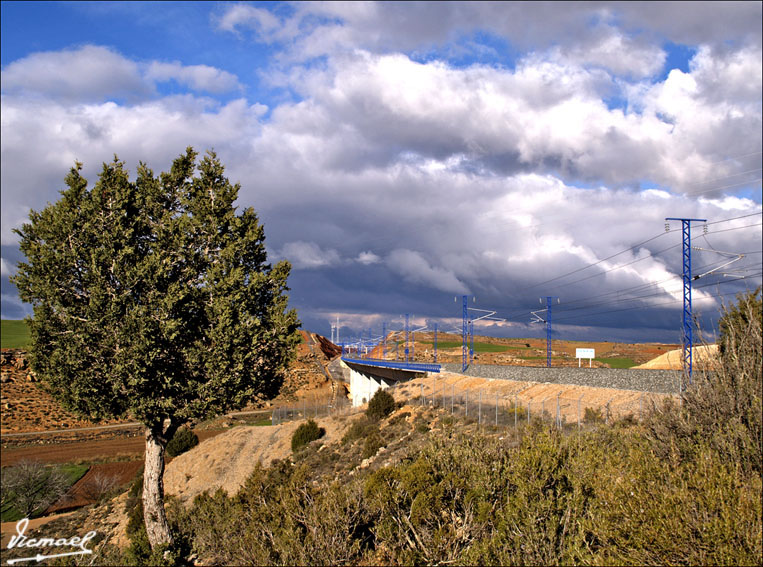 Foto de Alconchel de Ariza (Zaragoza), España