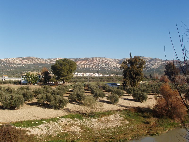 Foto de Encinas Reales (Córdoba), España