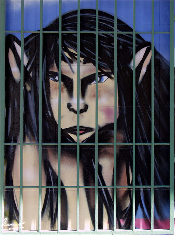 Foto de Zaragoza (Aragón), España