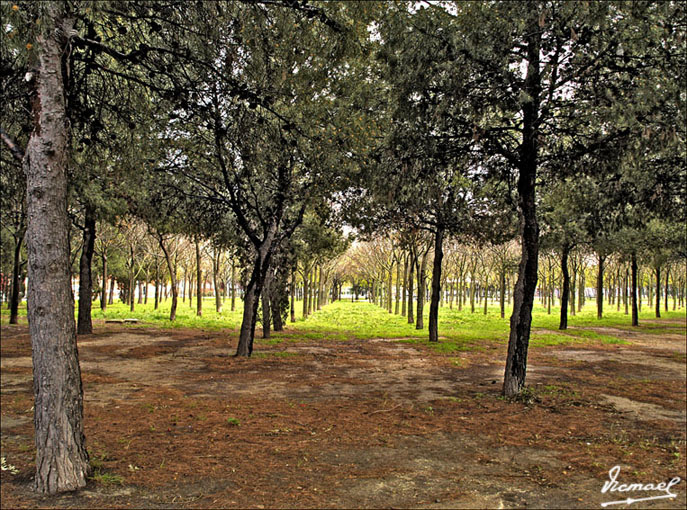 Foto de Zaragoza (Aragón), España