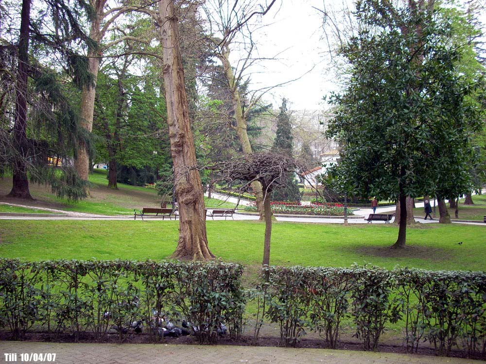 Foto de Oviedo (Asturias), España