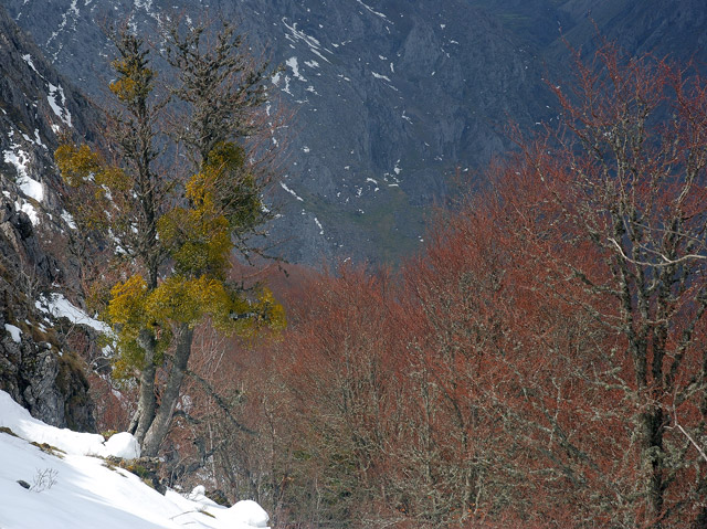 Foto de Hoces de Valdeteja (León), España