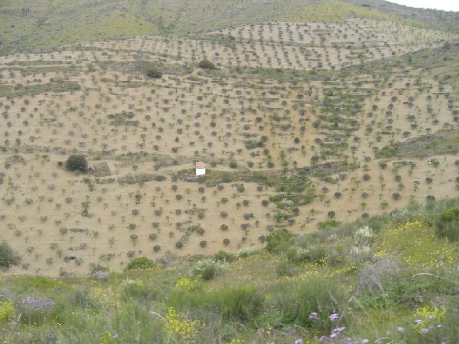 Foto de Castelo Melhor, Portugal