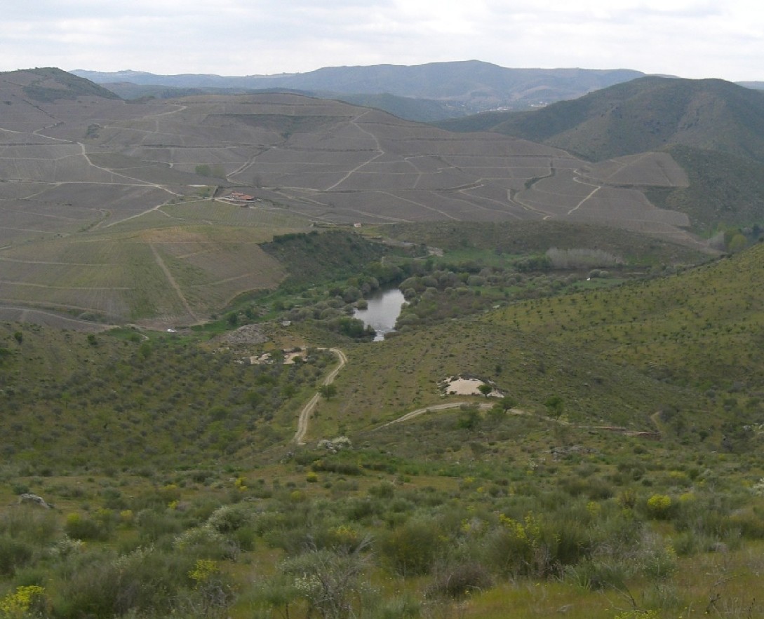 Foto de Castelo Melhor, Portugal