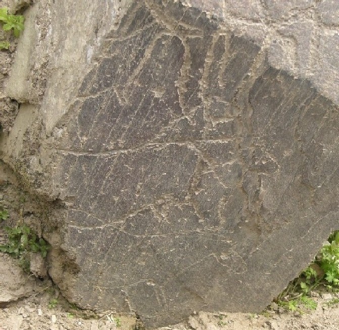 Foto de Castelo Melhor, Portugal