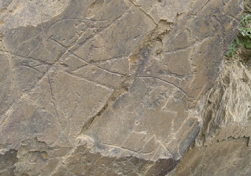 Foto de Castelo Melhor, Portugal