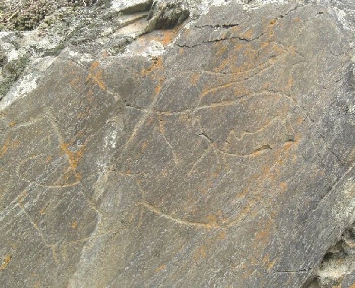 Foto de Castelo Melhor, Portugal