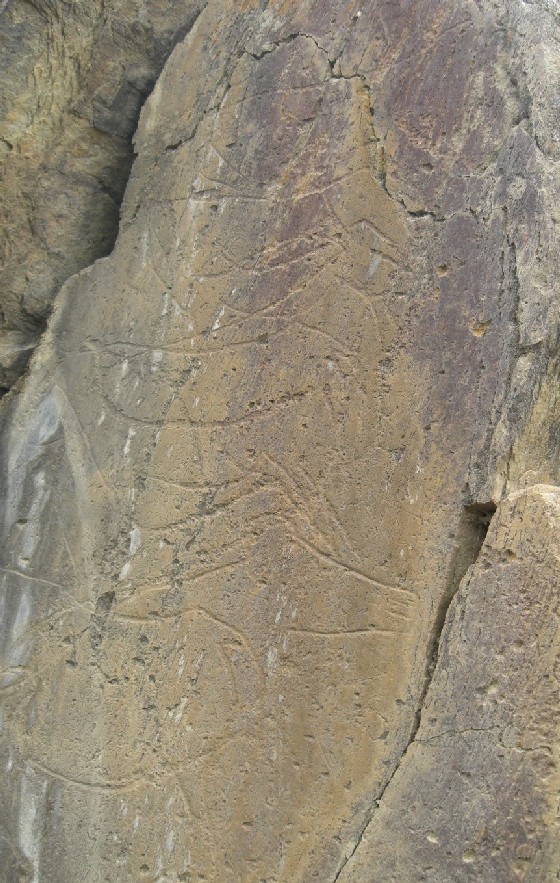 Foto de Castelo Melhor, Portugal