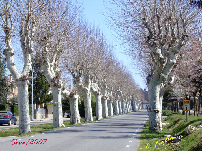 Foto de Seva (Barcelona), España